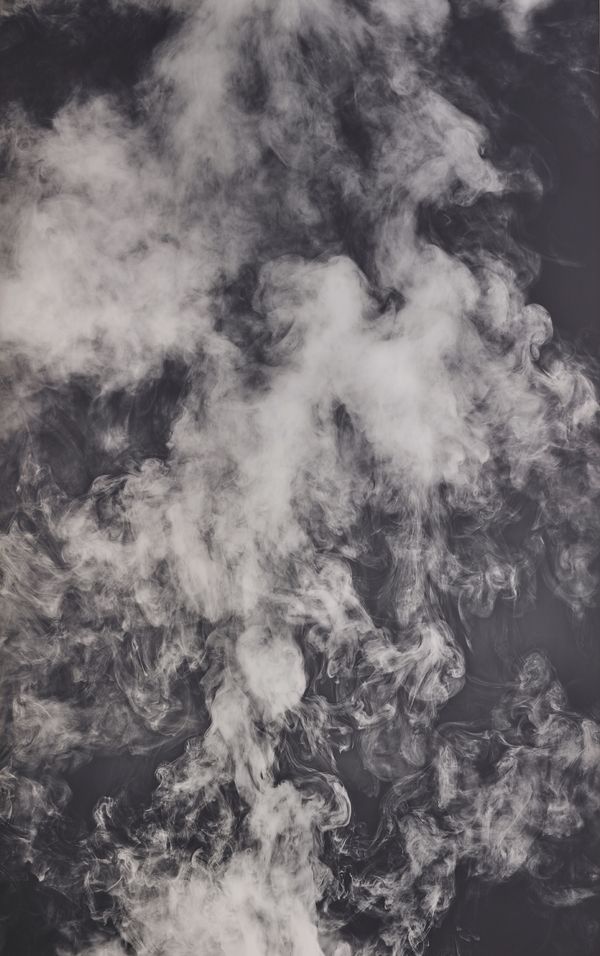 Adam Fuss: In Conversation