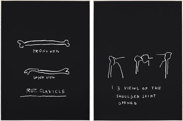 Anatomy of a Friendship