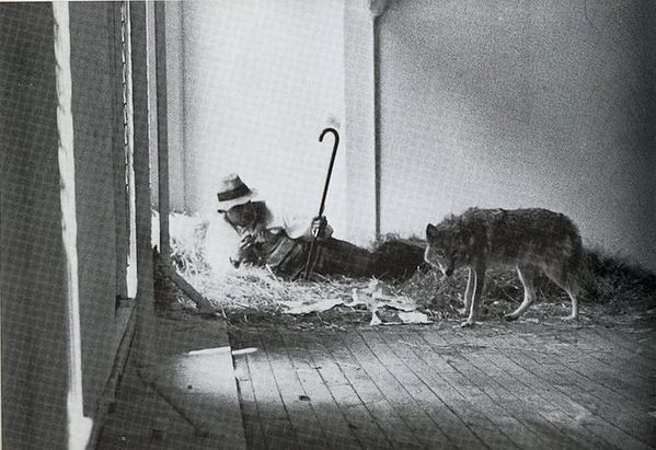 100 Years of Joseph Beuys