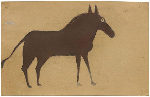 Inside the Royall Collection