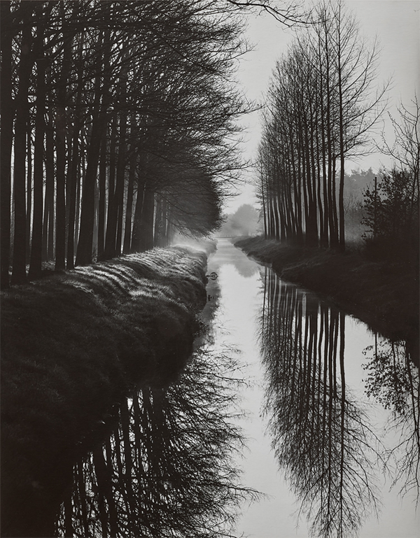 Specialist Picks: Photographs from A Private European Collection