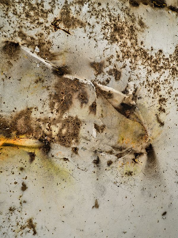Cai Guo-Qiang: Explosive Alchemy