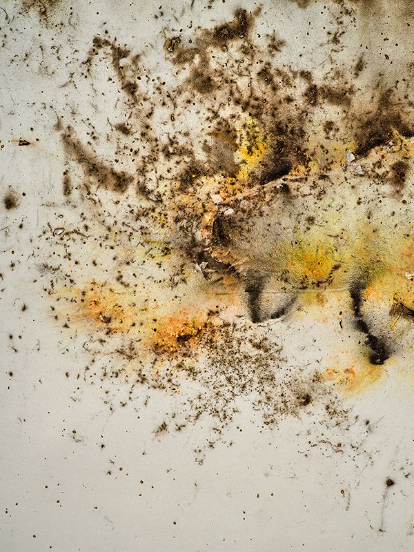 Cai Guo-Qiang: Explosive Alchemy