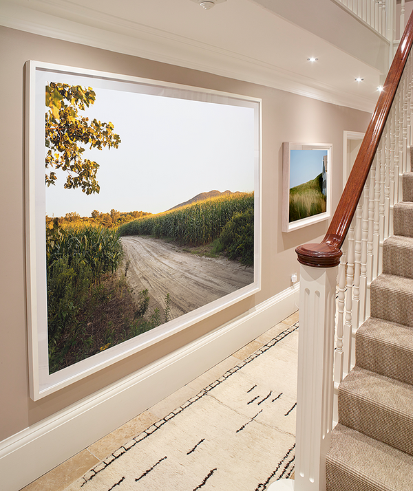 A View from the Garden: Photographs from a Private Cotswolds Collection