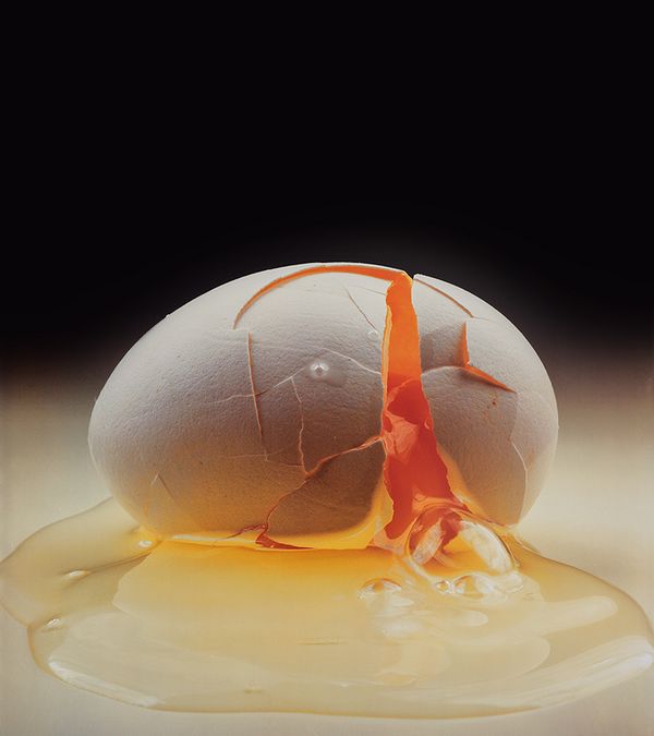 Irving Penn's Lasting Influence