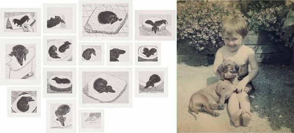 Specialist Picks: How Much is That Rhinoceros in the Window?