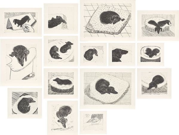 Devoted to Dachshunds