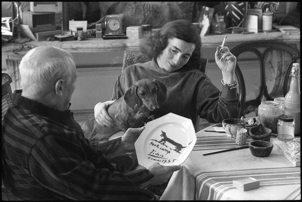 Devoted to Dachshunds