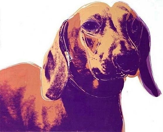 Devoted to Dachshunds