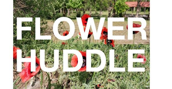 Phillips Tokyo Exhibition: Flower Huddle