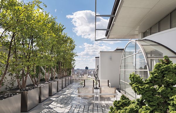 The Cultivated Eye: Lee Mindel's Loft