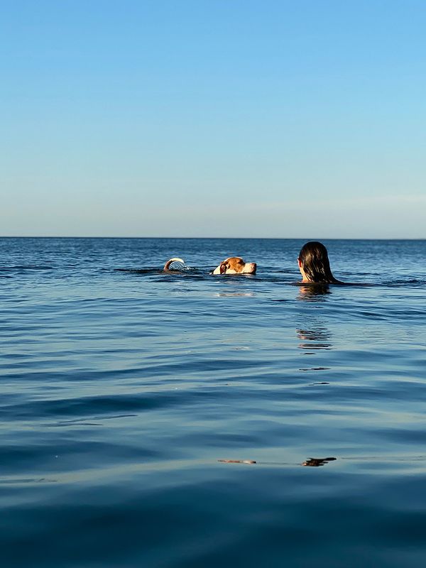 Endless Summer: The Artsy Edit