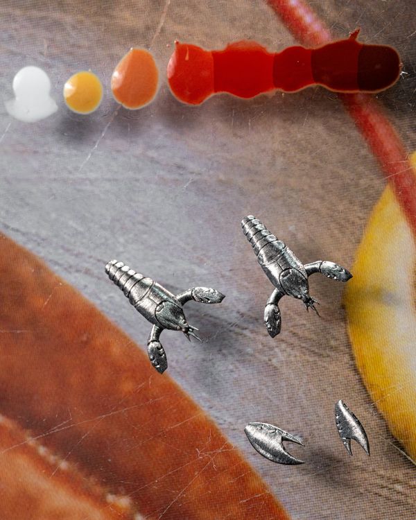'What's the Time, Mr. Lobster?'