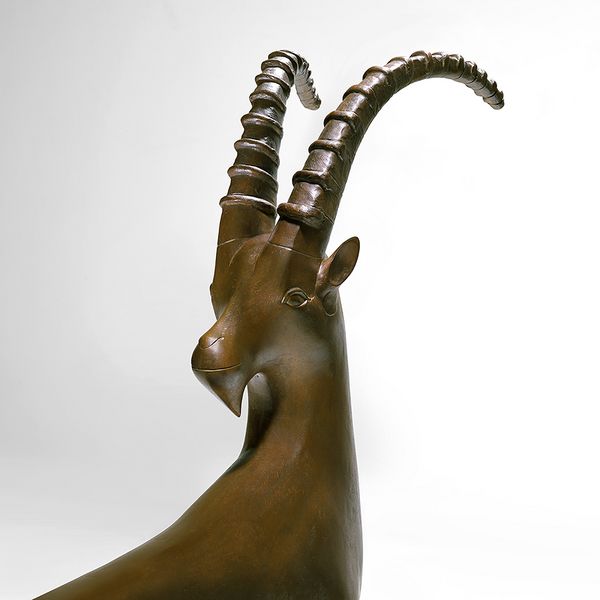 Fit for a Tale — A Majestic Alpine Ibex