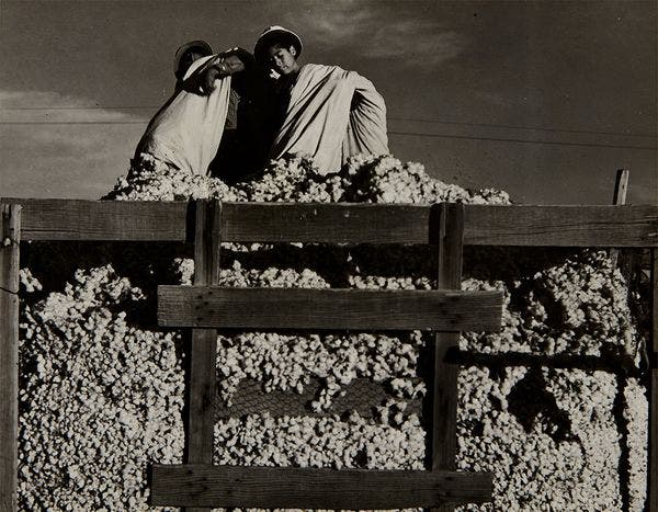 A Second Look at Dorothea Lange: The Family Collection