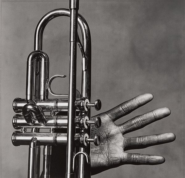 Around the House: Our Favorite Irving Penn Works