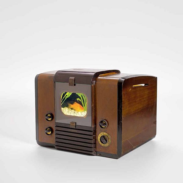 Specialist Picks: How Much is That Rhinoceros in the Window?