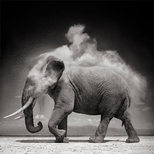 Insider Picks: Photographs New York