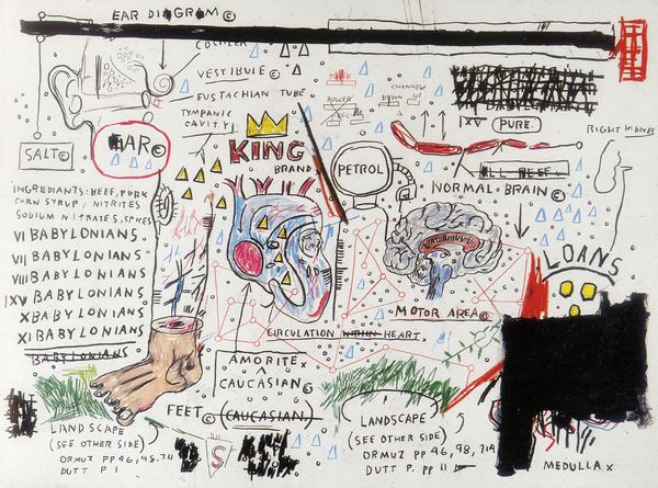 The Vision and Passion of Scott Spiegel