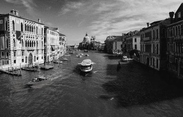 Artist Focus: Venice Biennale