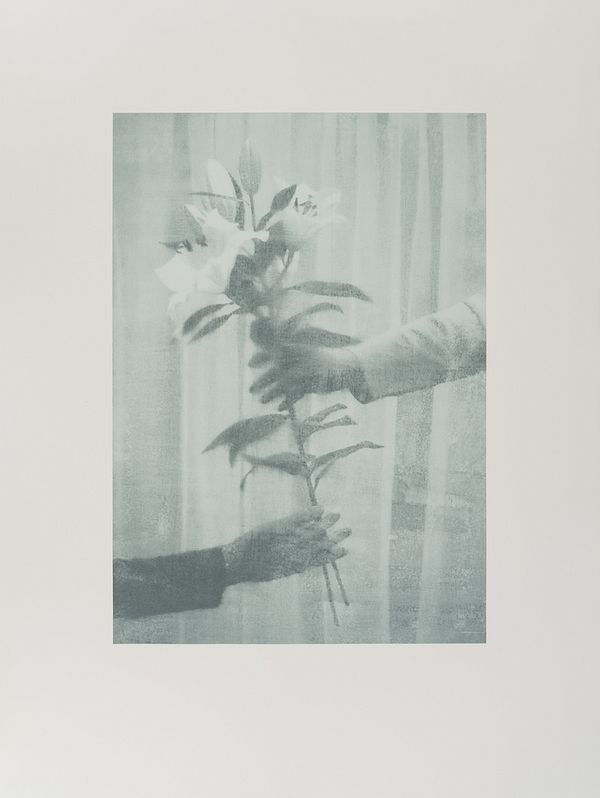 The Help Portfolio: 16 Artists Support 16 Charities