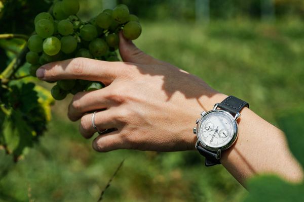 Out For A Spin: Alex Ballmer Visits A Swiss Vineyard With Two Iconic Vacheron Constantin Chronographs