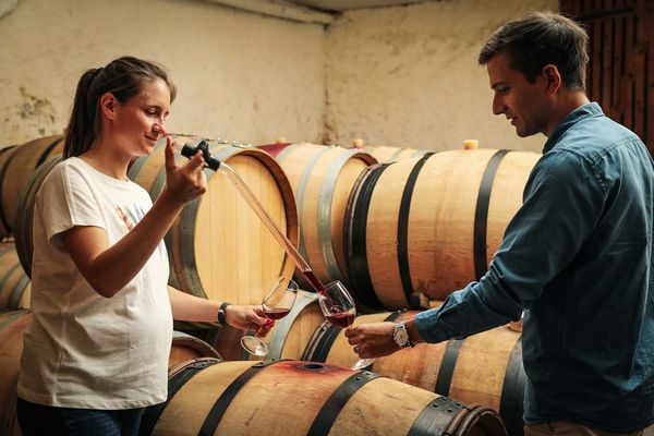 Out For A Spin: Alex Ballmer Visits A Swiss Vineyard With Two Iconic Vacheron Constantin Chronographs
