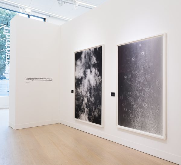 Adam Fuss: In Conversation