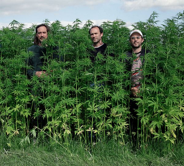 Human Nature: The 'Phytocene' NFT