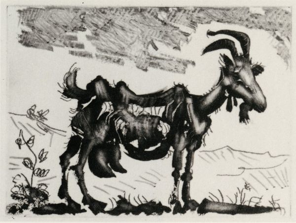 Pablo Picasso La Chèvre, 1952, sugar-lift aquatint