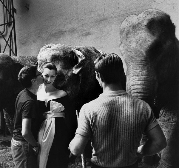 The Real Richard Avedon