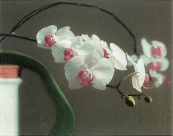 Gerhard Richter: The Art of Uncertainty