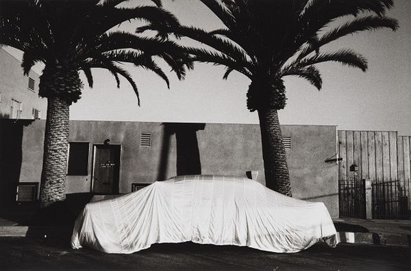 Robert Frank's America: Photographs from the Collection of Robert Richardson and Monona Wali