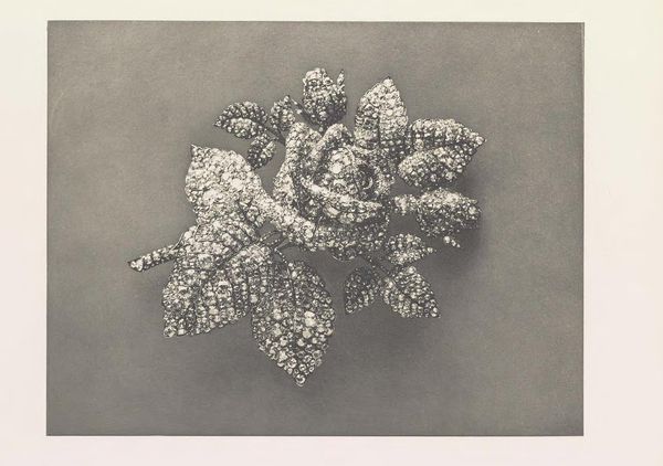 Auction Archive: Mathilde Bonaparte's Exquisite Jewels