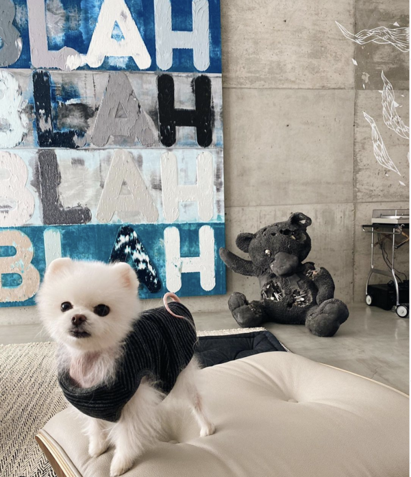 For Leslie Sun, Collecting is Collaborating
