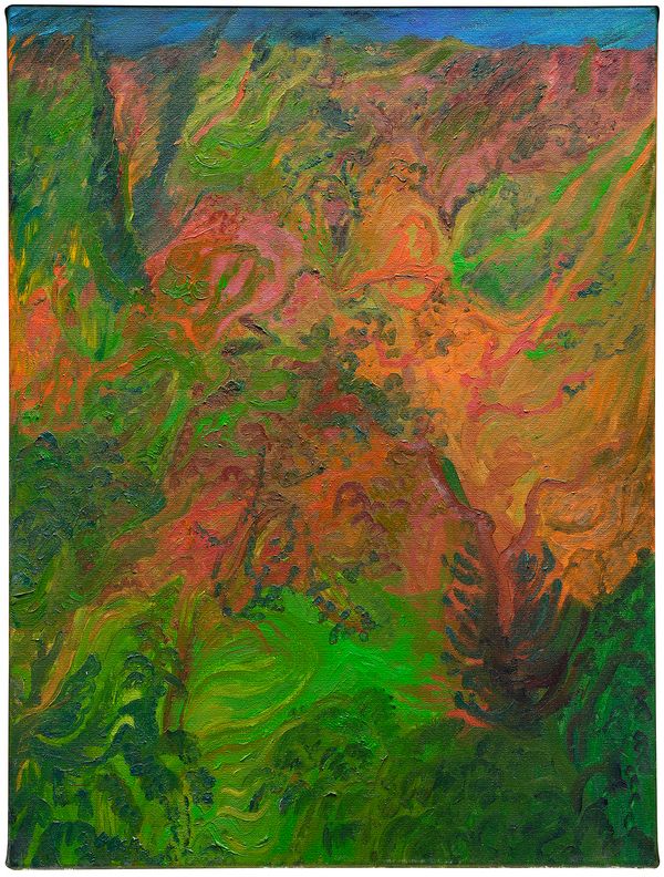 The Language of Landscape