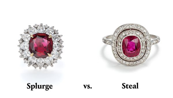 Splurge vs. Steal: A Holiday Gift Guide