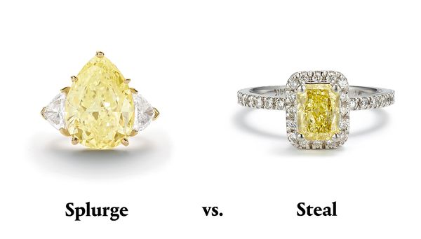 Splurge vs. Steal: A Holiday Gift Guide