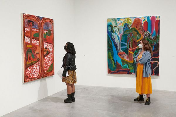 Museum Focus: Lisa Melandri and the Contemporary Art Museum St. Louis