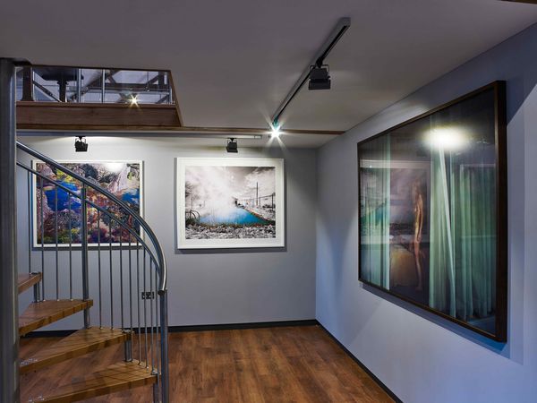 Michel and Sally Strauss Contemporary Photography Collection