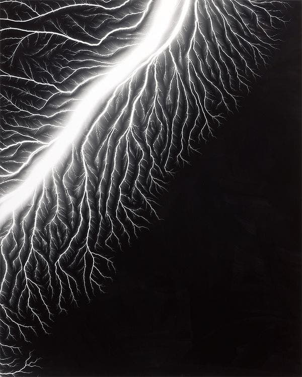 The Striking Vision of Fred and Laura Bidwell