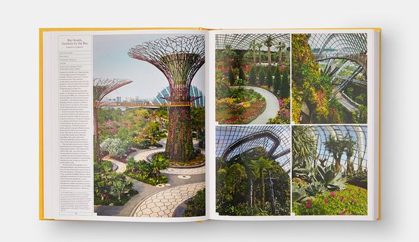 Phillips x Phaidon: Fifteen Favorites from Billy Norwich
