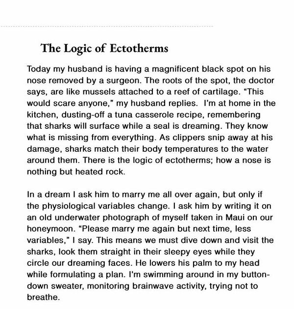 Reintroducing The Prompt