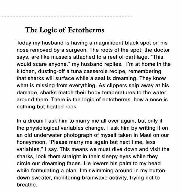 Reintroducing The Prompt