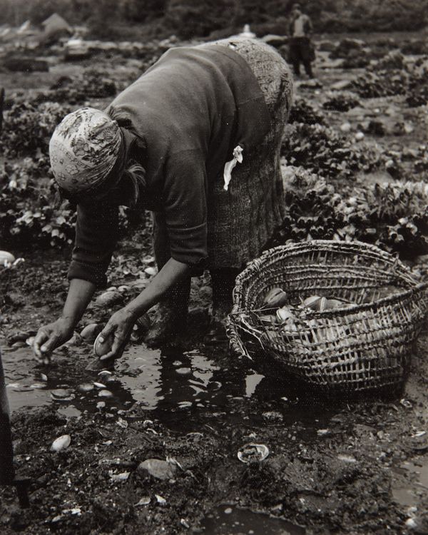 Friendship Through Photography: Dorothea Lange and William Heick