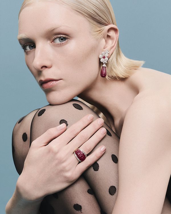 Zips, Blooms, and Botanical Bliss: The Allure of Van Cleef & Arpels