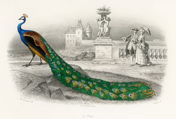 Feathered Brilliance