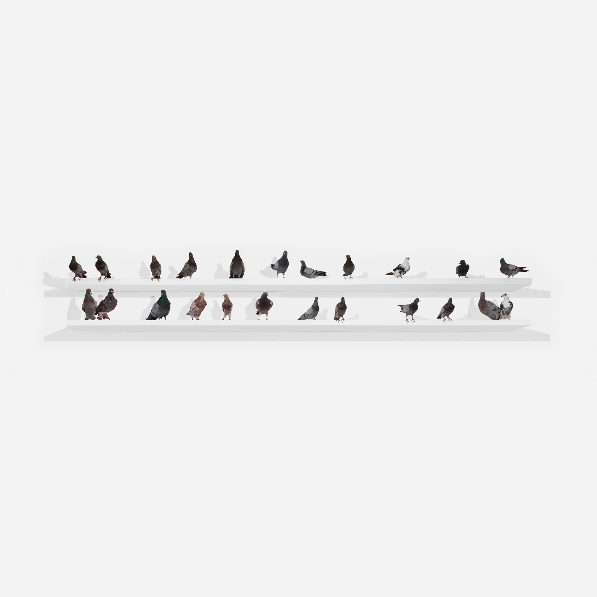 MAURIZIO CATTELAN, Turisti, 1997