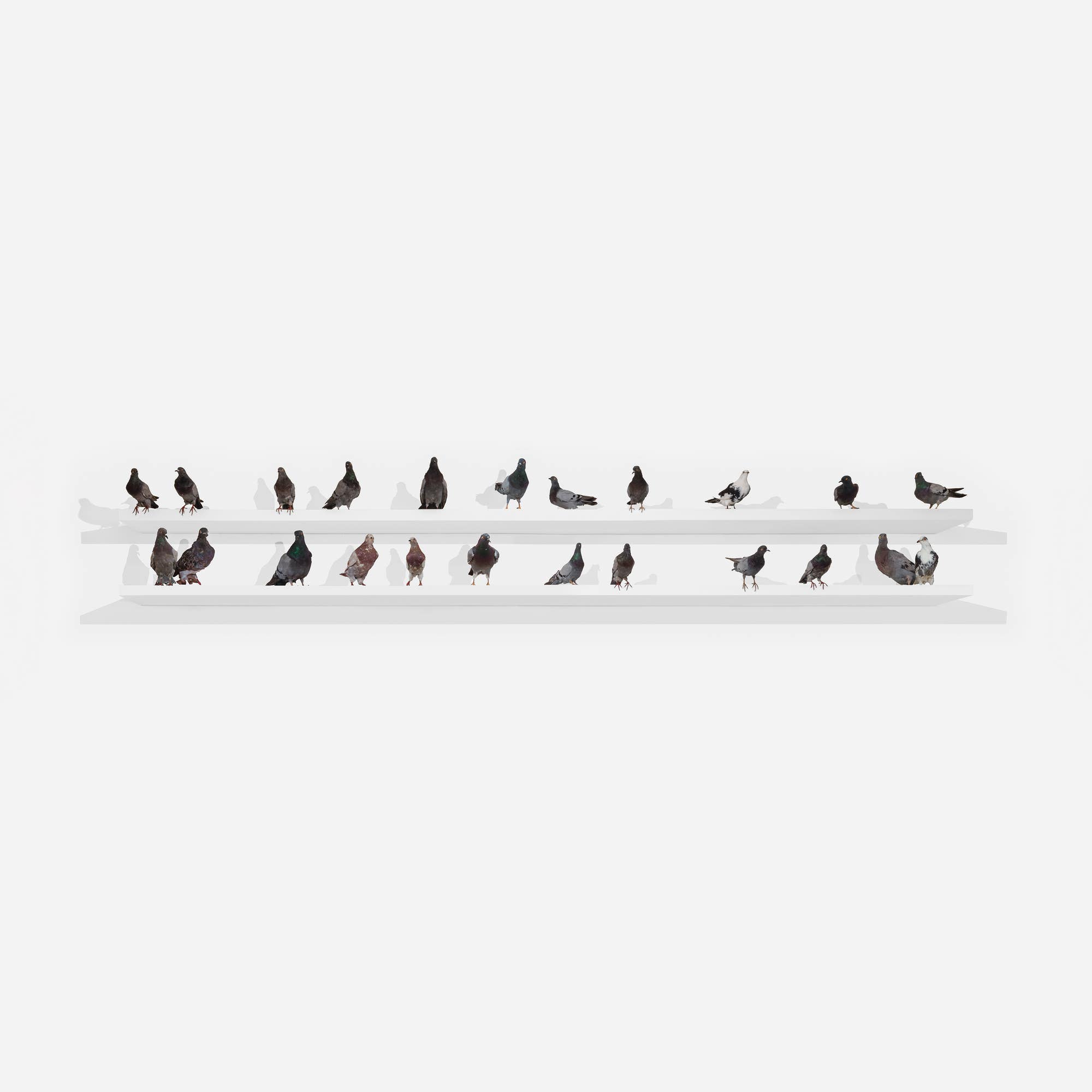 MAURIZIO CATTELAN, Turisti, 1997