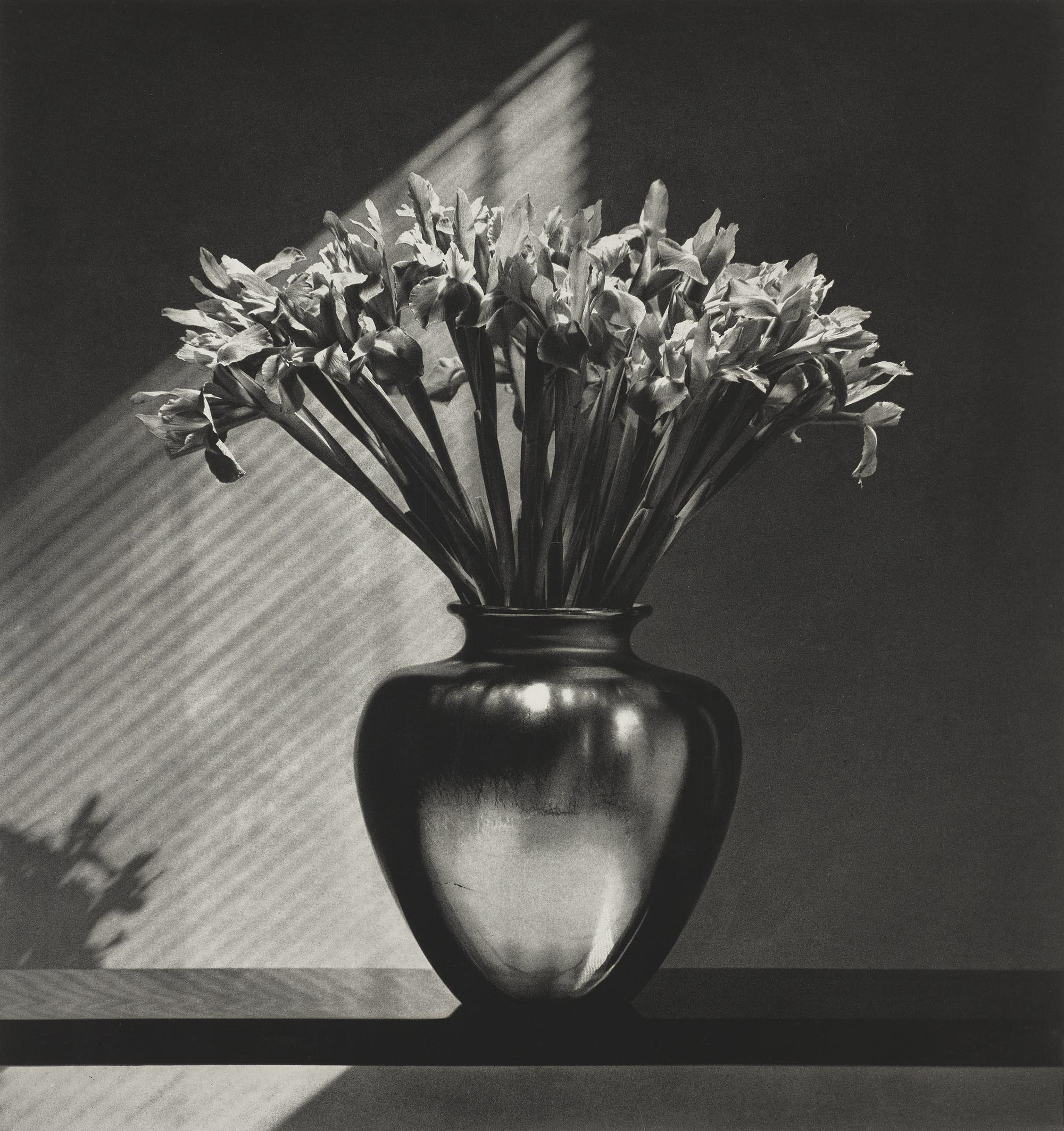 ROBERT MAPPLETHORPE, Irises, 1987. Photographs New York.